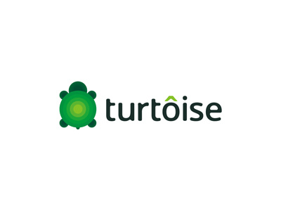 Turtoise logo design