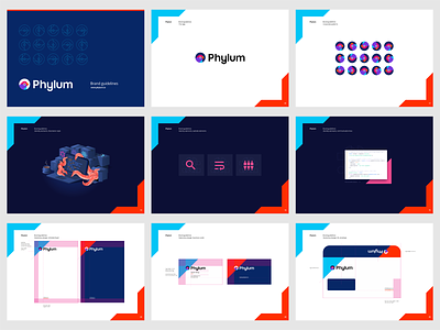 Phylum brand guidelines: pattern, illustrations, stationery, web