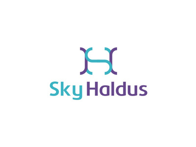 Sky Haldus logo design