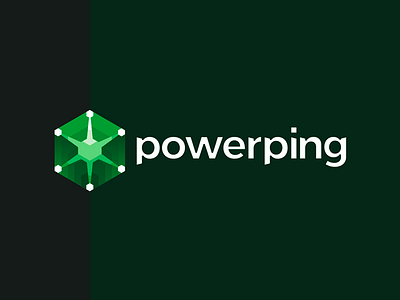 PowerPing server software monitoring system logo design branding client cloud applications connections stats statistics digital information technology electronic web performance tools flat 2d geometric graphs charts logs entries identity design it server software logo logo design network networking online data apps security monitoring system vector icon mark symbol