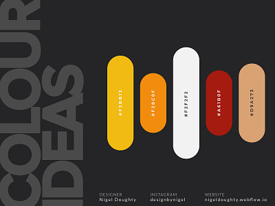 African Colour Palette by Nigel Doughty on Dribbble