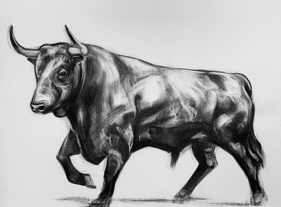 Bull artwork bull charcoal drawing illustration