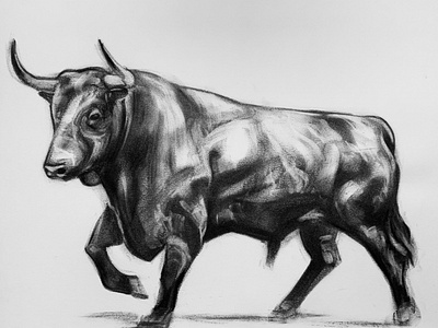 Bull