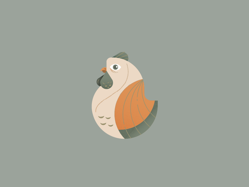 Doodle-doo farm bird animal lunar new year vector illustration rooster