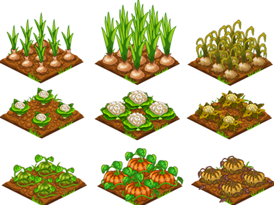 Game Art / Crops 2d concept crop decoration design farm game garden illustration isometric plant vector