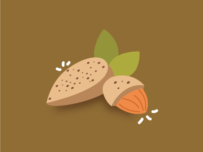 Almonds almond brown fruit healthy illustration simple vector