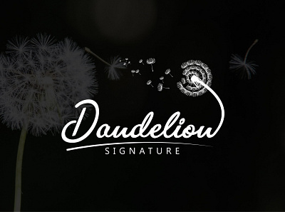 I WILL DESIGN 3 UNIQUE SIGNATURE LOGO FOR YOUR BUSINESS branding creative design creative logo design handwritten logo minimalist modern design modern logo outstanding logo signature logo fonts