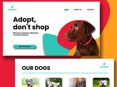 Dog Refuge Website appdesign design ui ui design ui ux uidesign ux uxdesign web web design webdesign webdesigns website