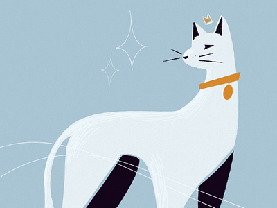 White Kitty blue and white blue white and orange cute cat drawing illustration kitten minimal colour minimalist illustration orange collar white cat