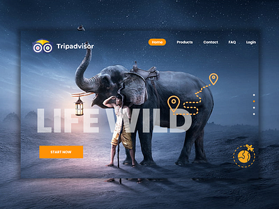 Wild Life Web template - TripAdvisor Website Design