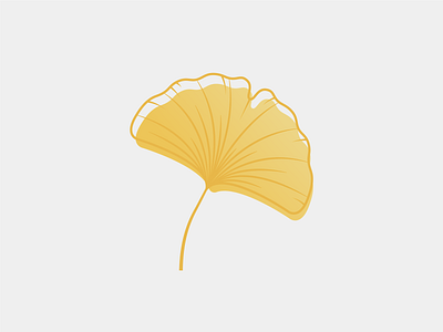 Gingko design icons illustration illustrations