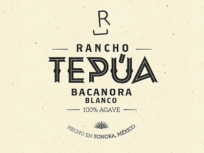 Tepua Bacanora design hermosillo logo logotipo mexico sonora type visorstudio