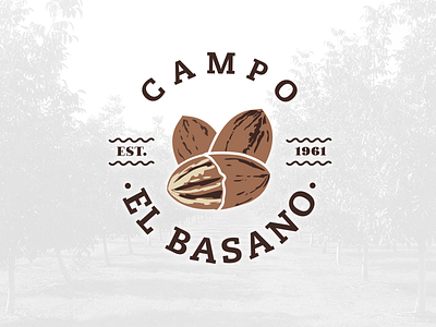 Campo el Basano design hermosillo logo logotipo mexico sonora type visorstudio