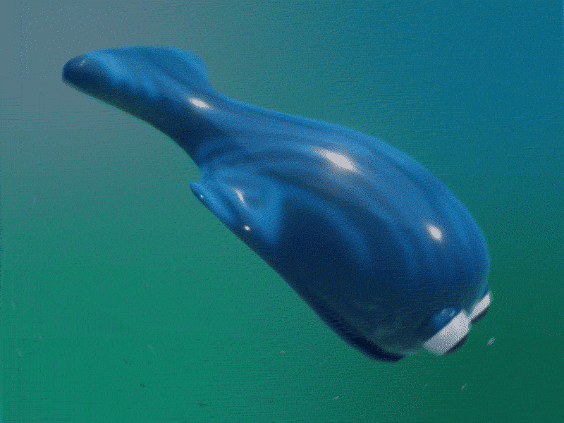 swimming whale 3d animation design illustration