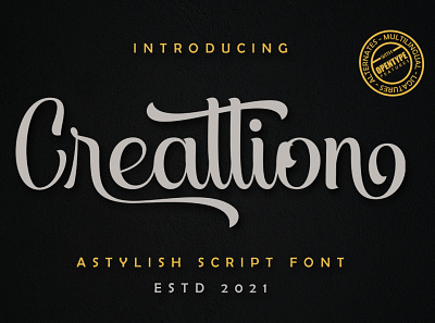 Creattion - Stylish Script Font branding calligraphy design font illustration logo type design typeface typography