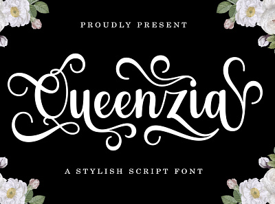 Queenzia - Stylish Script Font branding calligraphy design font illustration logo type design typeface typography