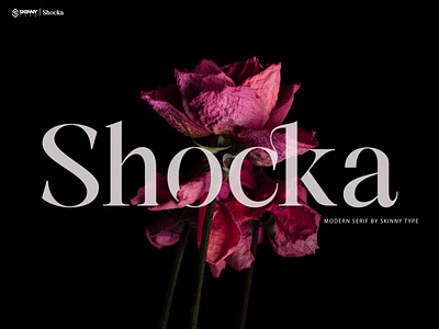 Shocka - New Serif Typeface