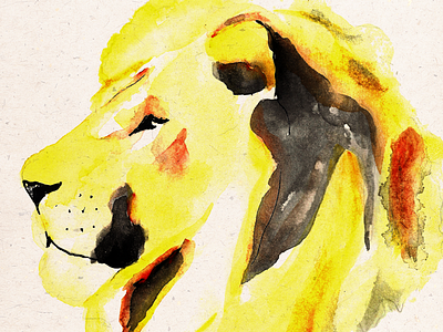 Lion illustration watercolor