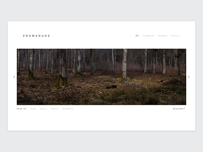 my Photography portfolio dayliui forest photo photography portfolio promenade responsive web