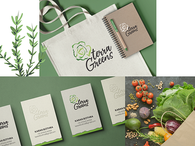 Branding for Terra Greens branding delivery service design exotic fresh hydroponics identitydesign logo packaging stationary vegetables veggies