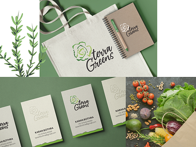 Branding for Terra Greens