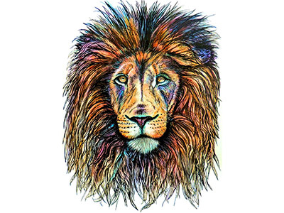 Rainbow Lion animal portraits animals big cats colorful drawing eyes hippie lion portrait rainbow rainbow lion