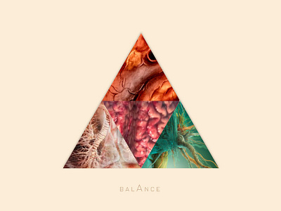 BALANCE balance brain health heart human body humans organs patterns simplicity triangle triangles typography