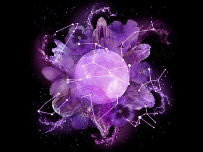 February astrology birthstones constellations cosmos crystals february flowers moon outer space photomanipulation stars zodiac