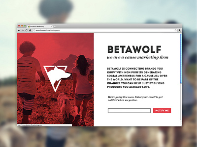 BetaWolf Splash Page betawolf branding web design