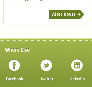 Homepage Responsive footer green social media