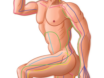 side thai yoga massage sen lines illustration