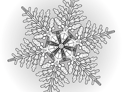 Snow Molecule