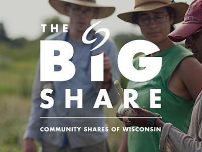 The Big Share Website branding charity design front end web design giving giving day graphic design volunteer web design wisconsin