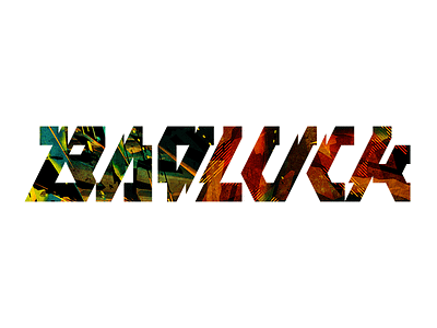 Badluck branding identity lettering logo logotype typography wordmark