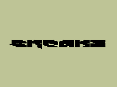 Breaks branding identity lettering logo logotype typography wordmark