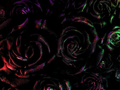 Roses 3d displacement map rose runyourjewels