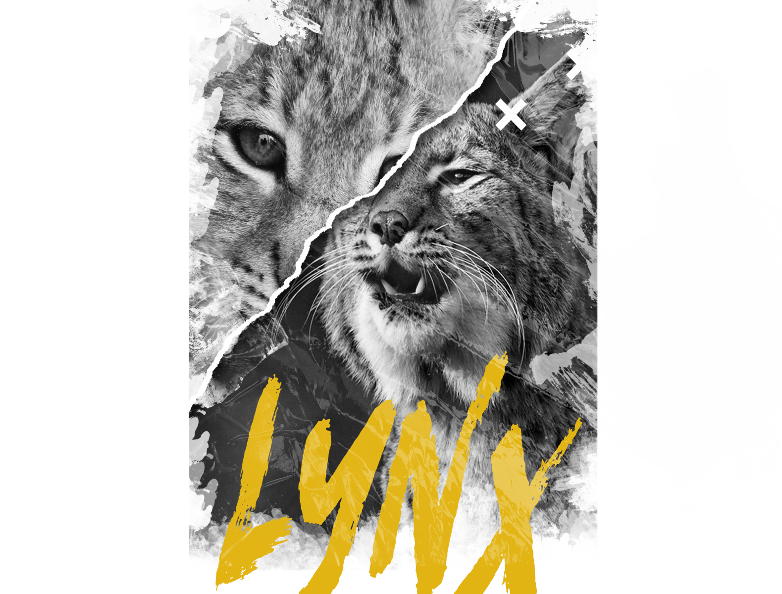 LYNX DESIGN by Ramadhantio Martion on Dribbble