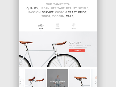 Passion Bicycle bicycle bike clean ecommerce minimalist product san francisco shop ui website