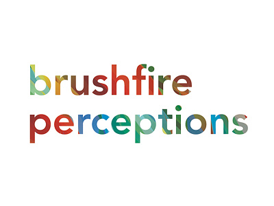 Brushfire Perceptions Wordmark brush brushfire color fire logo