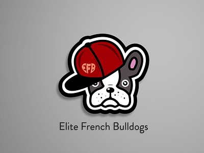 Elite French Bulldog brand identity branding business card business card design illustration logo logo design vector visual design visual identity