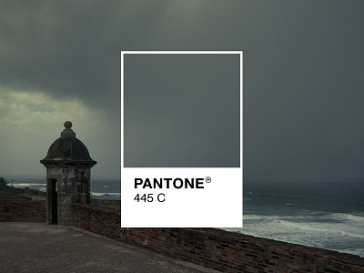 Pantone 445C San Juan