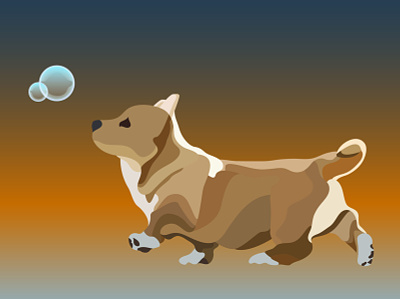 A floof affinity designer corgi dog illustration flat illustration illustration minimal silhouette vector