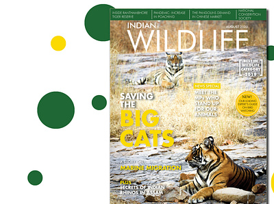 Wildlife Magazine Cover branding design illustration magazine magazine cover