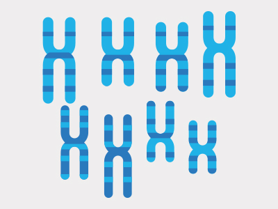 Chromosome by Andrea Lantos on Dribbble