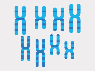 Chromosome chromosome illustration science