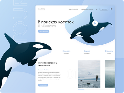 Tour blue dailyui design illustration landing landing page minimal orca ui ux vector web webdesign website whale