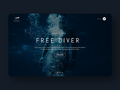 Hero Section Exploration - Freediver Website