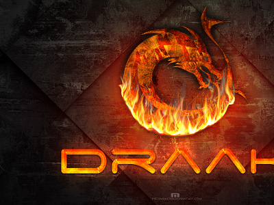 DRAAK branding design dragon fire flame illustration logo typography vector