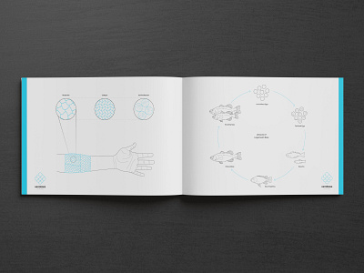 xenobass | Diagram Spread biodesign biodesign challenge 2020 branding design diagram design graphic design illustration infographic logo moma