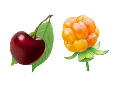 Cherry and cloudberry cherry cloudberry food fruit illustration